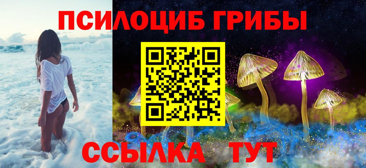 Белово  Псилоцибиновые грибы MAGIC MUSHROOMS  Вход с VPN  Псилоцибиновые грибы Psilocybe 