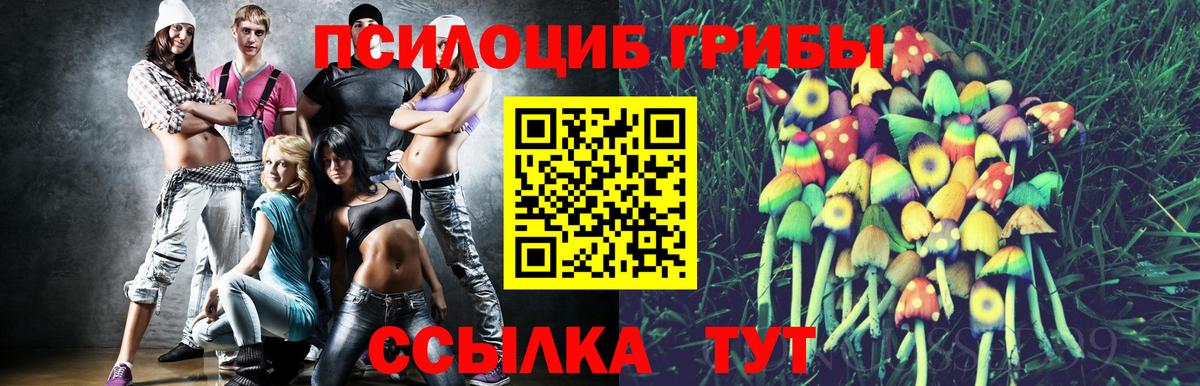 Псилоцибиновые грибы мицелий Белово